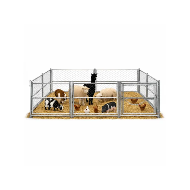 Petting Zoo
